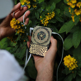 Instruo Pocket Scion Portable Biofeedback Sensor Instrument