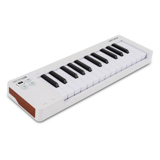 Arturia MicroLab Mk3 MIDI Keyboard Controller