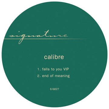 Falls To You VIP / End Of Meaning