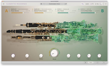 Arturia Augmented Woodwinds Plugin
