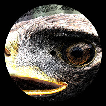 Yr Elen (Elen’s Hill)