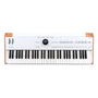 Arturia AstroLab Avant-Garde 61-Key Stage Keyboard