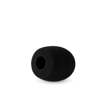 Radius 5cm Mic Foam