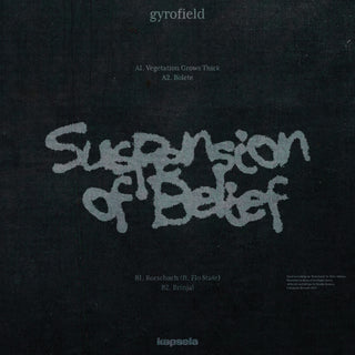 Suspension of Belief