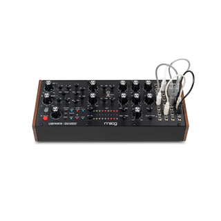 Moog Labyrinth - Parallel Generative Analog Synthesizer