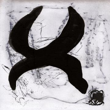 omnis festinatio ex parte diaboli