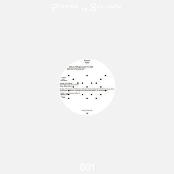 Whispers into the Void / Fleeting