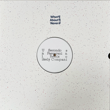 Unlikely Companions feat. Marco Passarani remix