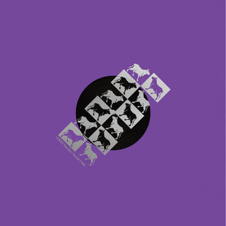 Municipal Dreams (Remixes)