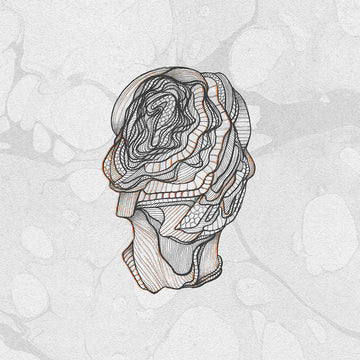 Little Foot (5 x 12" Boxset)