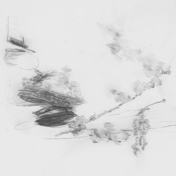 The Air Outside Feels Crazy Right Now