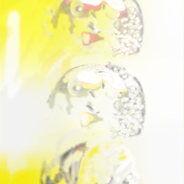 Nucleus of the Decay