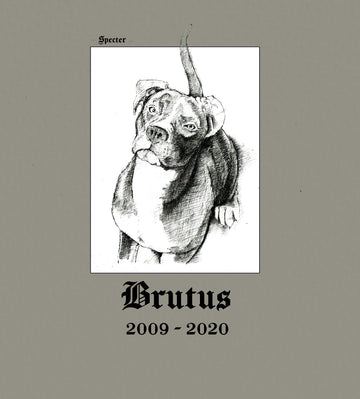Brutus