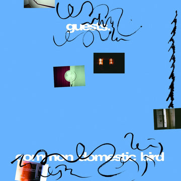 Common Domestic Bird