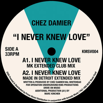 I Never Knew Love