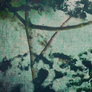 Suspension of Belief