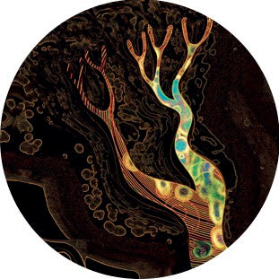 Dod yn ôl at fy nghoed vol.2