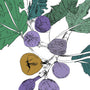 Fig