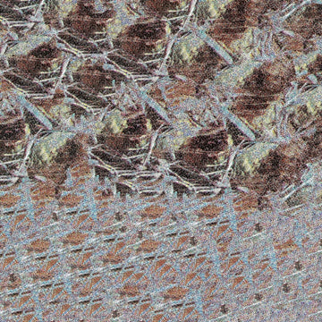 The Vulgarity Of Snow