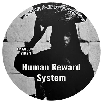 Human Reward System