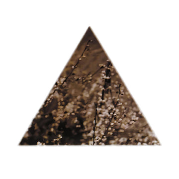 Soil (30th Anniversary Edition)