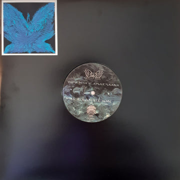 Transition/Intuition