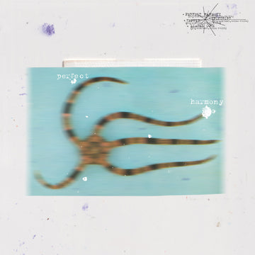 Perfect Harmony EP