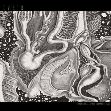 dimensional space [remastered]