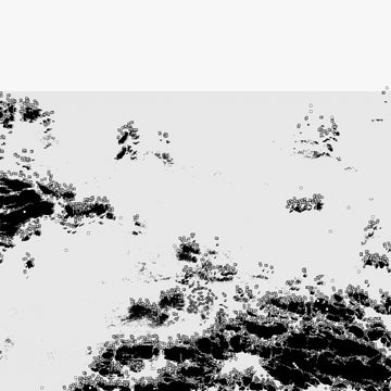 The Black Sea