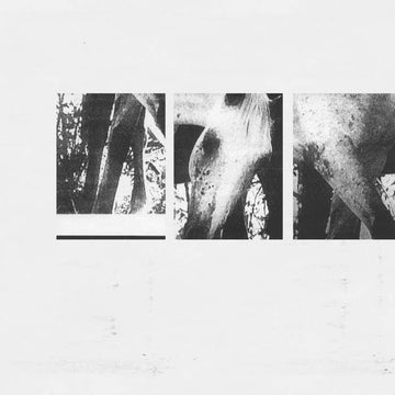 Veneer of Tolerance (Remixes)