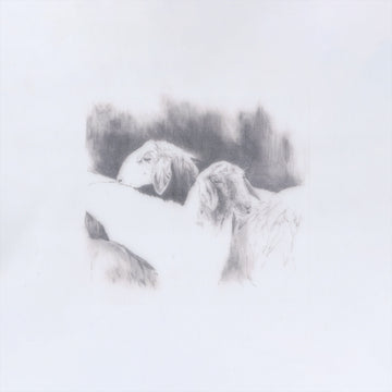 Baby it Cold Outside