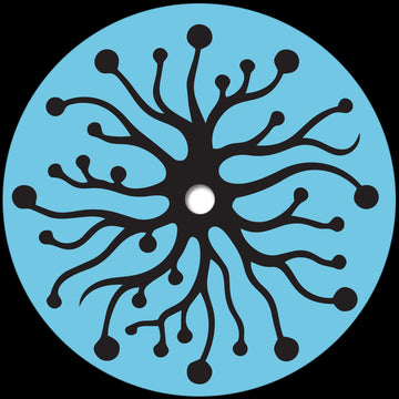 Sense Data