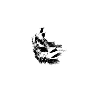 False 01