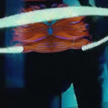 Mi Pez Murió Anoche