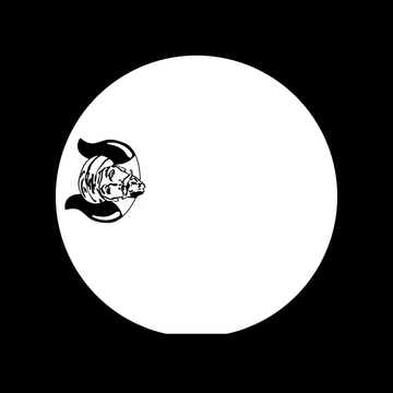 LSD050