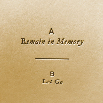 Remain In Memory / Let Go