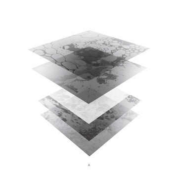 Bleeding Immaculate EP