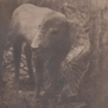 Lonesome For A Storm