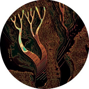 Dod yn ôl at fy nghoed vol.1