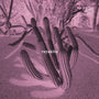 Rayakita