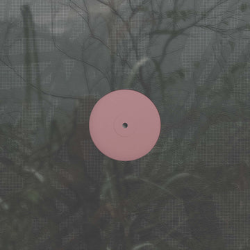 For the Early Hours of a World in Bloom