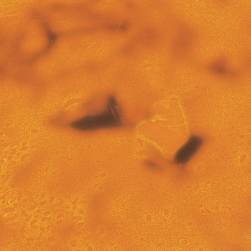 A Mass Deliberately Deprives Itself of Reason