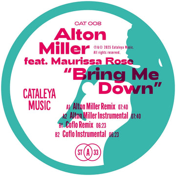 Bring Me Down (Remixes)