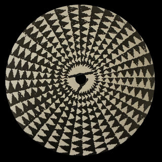 Zebra 003