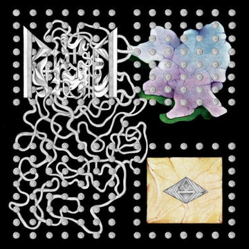 A Curious Lack Of Limbs