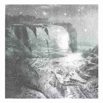 Prince Of Parrot Shooters