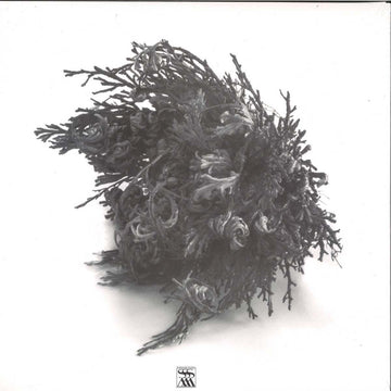 Flowers From The Ashes