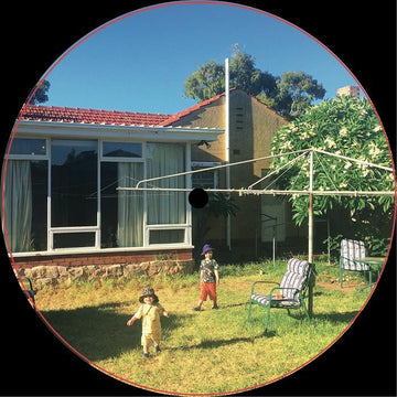 Music For the Moon Room Gecko