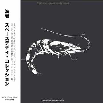 Space Teddy Collection