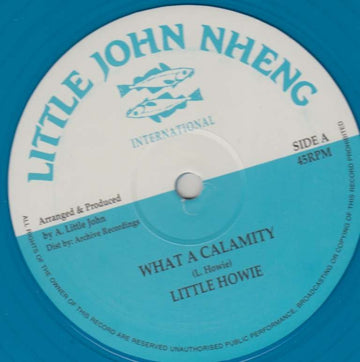 What A Calamity / Version